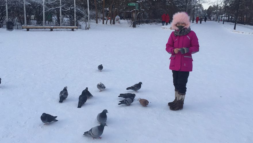 Международный творческий конкурс «У леса на опушке жила зима в избушке...»  - детский рисунок, поделка, творческая работа, категория школьники, 3 класс, дистанционный конкурс, школьный конкурс