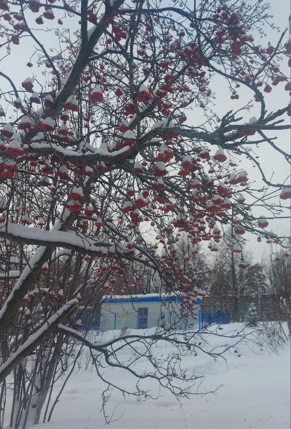 Международный творческий конкурс «Зимний калейдоскоп»  - детский рисунок, поделка, творческая работа, категория школьники, 3 класс, дистанционный конкурс, школьный конкурс