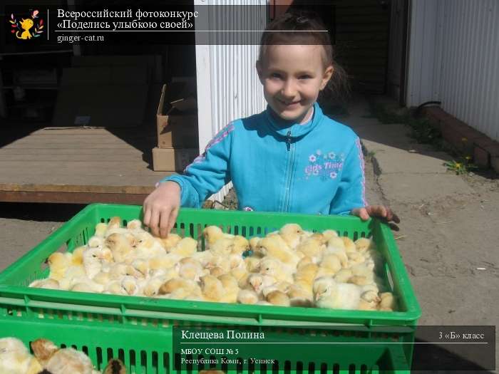 Всероссийский фотоконкурс «Поделись улыбкою своей»  - детский рисунок, поделка, творческая работа, категория школьники, 3 класс, дистанционный конкурс, школьный конкурс