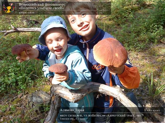 Всероссийский фотоконкурс «Поделись улыбкою своей»  - детский рисунок, поделка, творческая работа, категория школьники, 9 класс, дистанционный конкурс, школьный конкурс