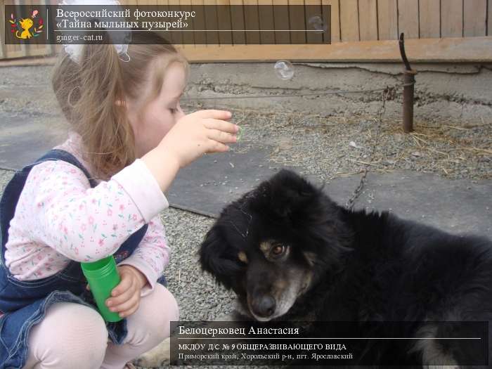 Всероссийский фотоконкурс «Тайна мыльных пузырей»  - детский рисунок, поделка, творческая работа, категория дошкольники, детский сад, дистанционный конкурс, школьный конкурс