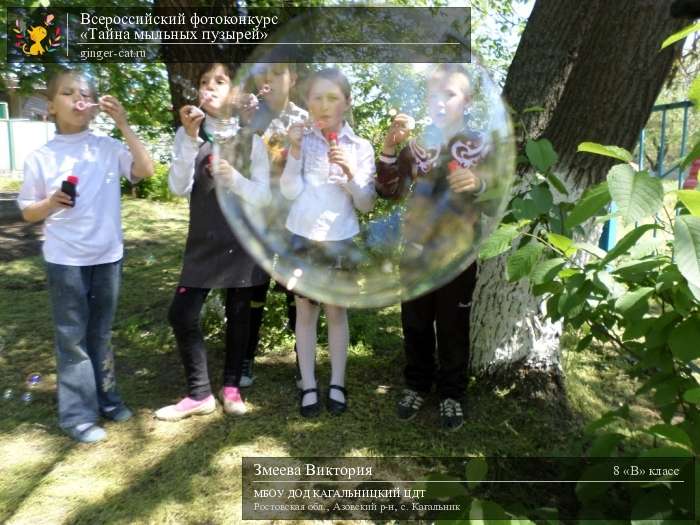 Всероссийский фотоконкурс «Тайна мыльных пузырей»  - детский рисунок, поделка, творческая работа, категория школьники, 8 класс, дистанционный конкурс, школьный конкурс