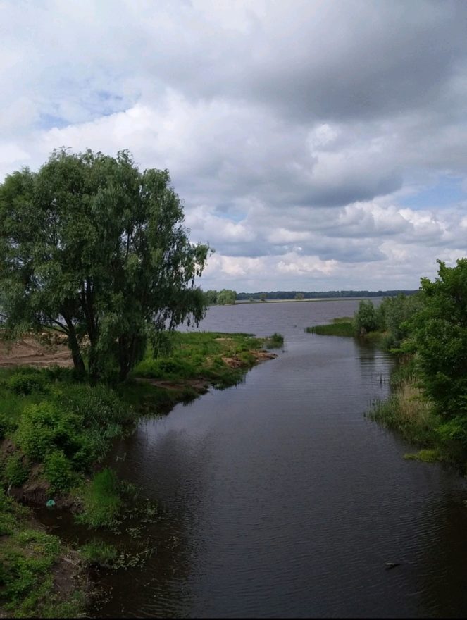 Международный творческий конкурс «Вспоминая это лето»  - детский рисунок, поделка, творческая работа, категория школьники, 2 класс, дистанционный конкурс, школьный конкурс