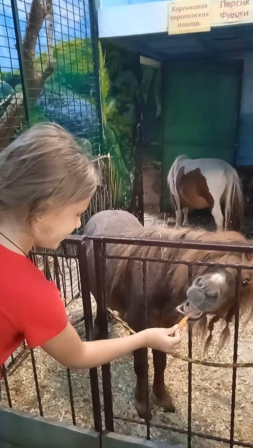 Международный творческий конкурс «Джунгли зовут!»  - детский рисунок, поделка, творческая работа, категория школьники, 3 класс, дистанционный конкурс, школьный конкурс