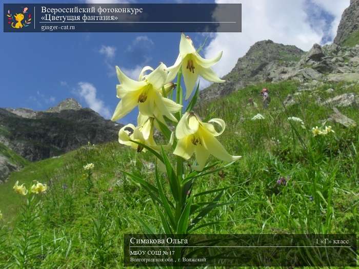 Всероссийский фотоконкурс «Цветущая фантазия»  - детский рисунок, поделка, творческая работа, категория школьники, 1 класс, дистанционный конкурс, школьный конкурс