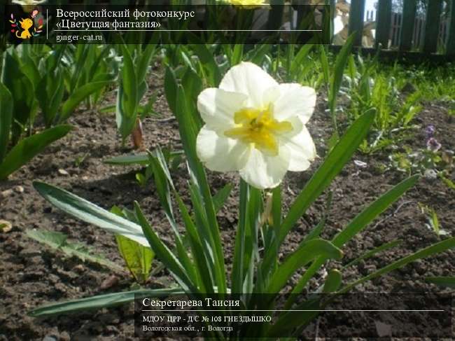 Всероссийский фотоконкурс «Цветущая фантазия»  - детский рисунок, поделка, творческая работа, категория дошкольники, детский сад, дистанционный конкурс, школьный конкурс