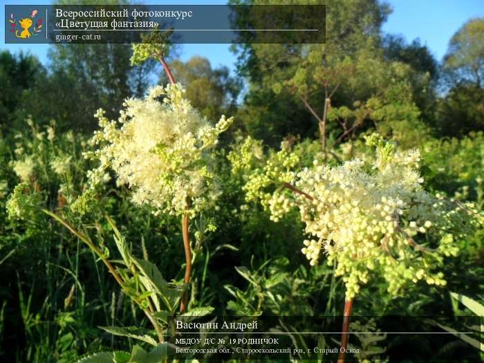 Всероссийский фотоконкурс «Цветущая фантазия»  - детский рисунок, поделка, творческая работа, категория дошкольники, детский сад, дистанционный конкурс, школьный конкурс