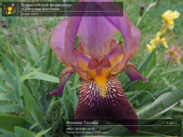 Всероссийский фотоконкурс «Цветущая фантазия»  - детский рисунок, поделка, творческая работа, категория школьники, 2 класс, дистанционный конкурс, школьный конкурс