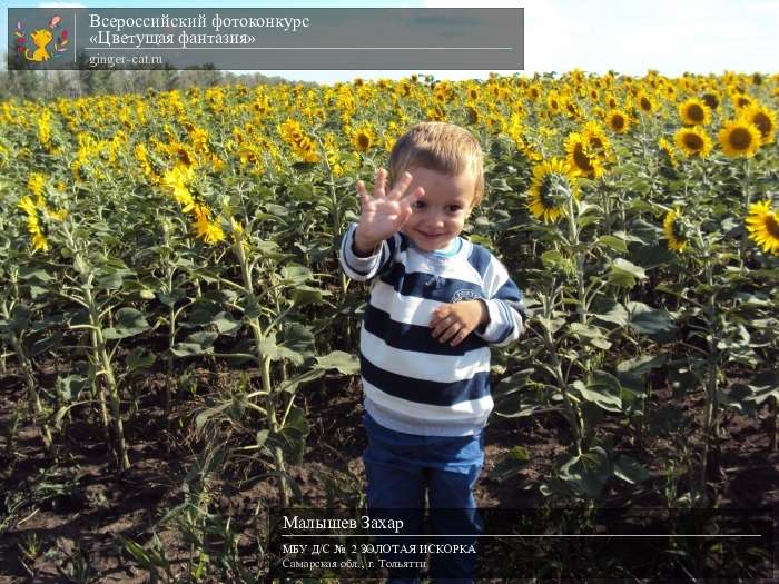 Всероссийский фотоконкурс «Цветущая фантазия»  - детский рисунок, поделка, творческая работа, категория дошкольники, детский сад, дистанционный конкурс, школьный конкурс