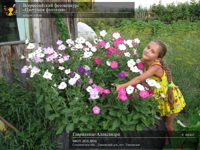 Всероссийский фотоконкурс «Цветущая фантазия»  - детский рисунок, поделка, творческая работа, категория школьники, 6 класс, дистанционный конкурс, школьный конкурс