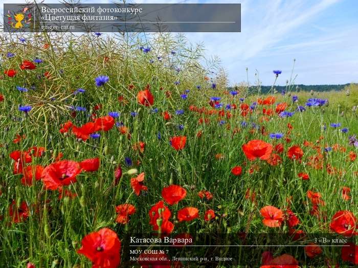 Всероссийский фотоконкурс «Цветущая фантазия»  - детский рисунок, поделка, творческая работа, категория школьники, 3 класс, дистанционный конкурс, школьный конкурс