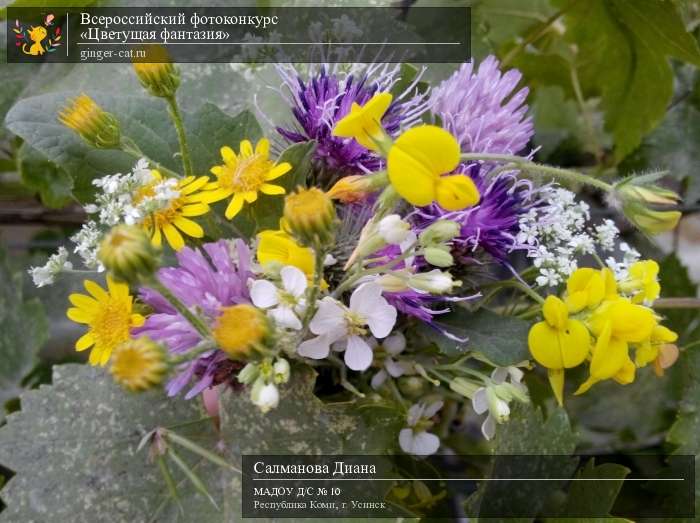 Всероссийский фотоконкурс «Цветущая фантазия»  - детский рисунок, поделка, творческая работа, категория дошкольники, детский сад, дистанционный конкурс, школьный конкурс