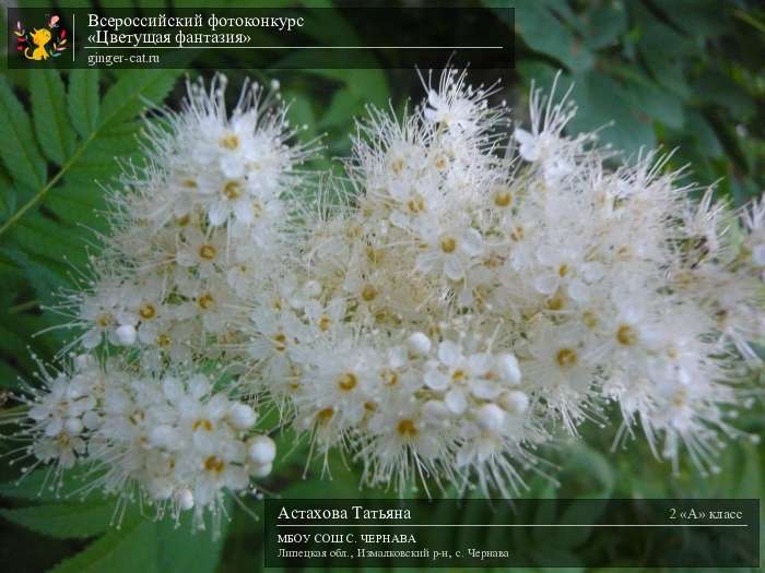 Всероссийский фотоконкурс «Цветущая фантазия»  - детский рисунок, поделка, творческая работа, категория школьники, 2 класс, дистанционный конкурс, школьный конкурс