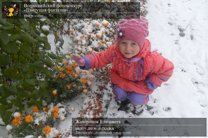 Всероссийский фотоконкурс «Цветущая фантазия»  - детский рисунок, поделка, творческая работа, категория дошкольники, детский сад, дистанционный конкурс, школьный конкурс