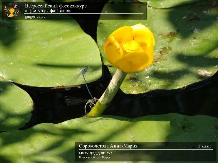 Всероссийский фотоконкурс «Цветущая фантазия»  - детский рисунок, поделка, творческая работа, категория школьники, 2 класс, дистанционный конкурс, школьный конкурс