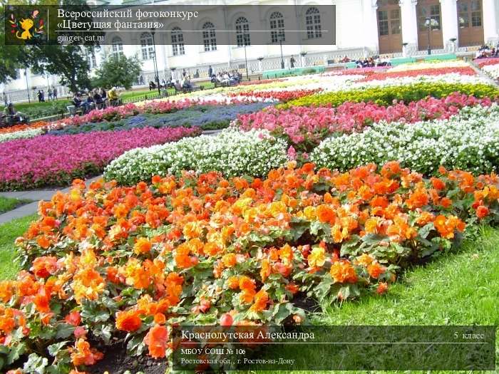 Всероссийский фотоконкурс «Цветущая фантазия»  - детский рисунок, поделка, творческая работа, категория школьники, 5 класс, дистанционный конкурс, школьный конкурс