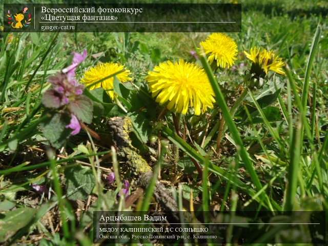 Всероссийский фотоконкурс «Цветущая фантазия»  - детский рисунок, поделка, творческая работа, категория дошкольники, детский сад, дистанционный конкурс, школьный конкурс