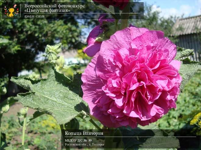 Всероссийский фотоконкурс «Цветущая фантазия»  - детский рисунок, поделка, творческая работа, категория дошкольники, детский сад, дистанционный конкурс, школьный конкурс