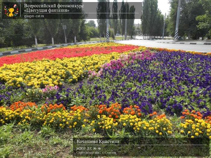 Всероссийский фотоконкурс «Цветущая фантазия»  - детский рисунок, поделка, творческая работа, категория дошкольники, детский сад, дистанционный конкурс, школьный конкурс