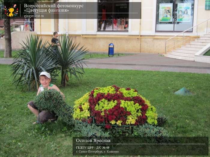 Всероссийский фотоконкурс «Цветущая фантазия»  - детский рисунок, поделка, творческая работа, категория дошкольники, детский сад, дистанционный конкурс, школьный конкурс