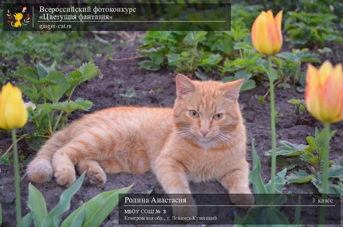 Всероссийский фотоконкурс «Цветущая фантазия»  - детский рисунок, поделка, творческая работа, категория школьники, 3 класс, дистанционный конкурс, школьный конкурс