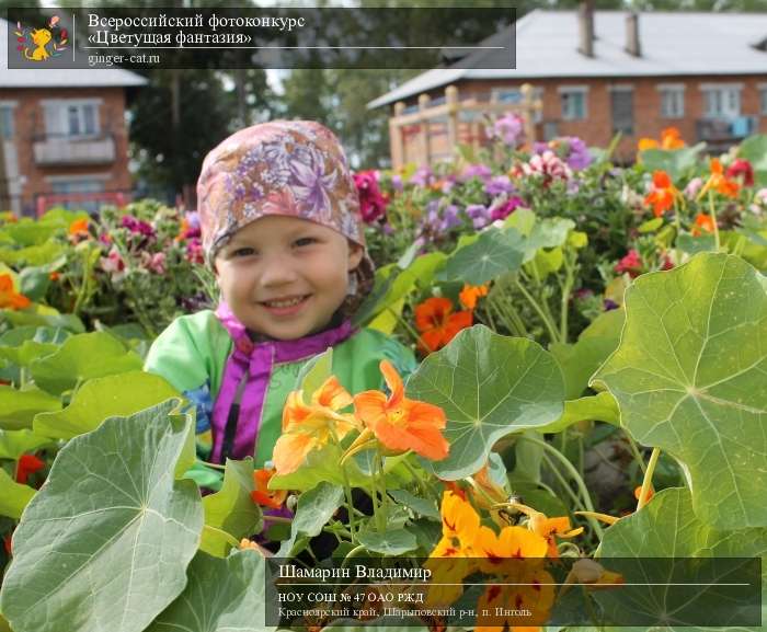 Всероссийский фотоконкурс «Цветущая фантазия»  - детский рисунок, поделка, творческая работа, категория дошкольники, детский сад, дистанционный конкурс, школьный конкурс