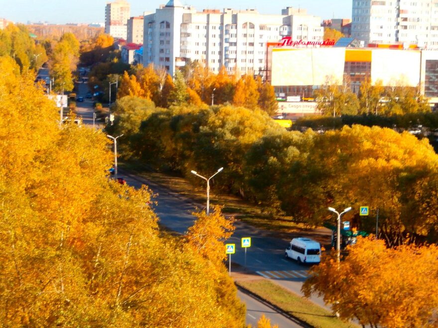 Международный творческий конкурс «Золотая осень»  - детский рисунок, поделка, творческая работа, категория школьники, 7 класс, дистанционный конкурс, школьный конкурс