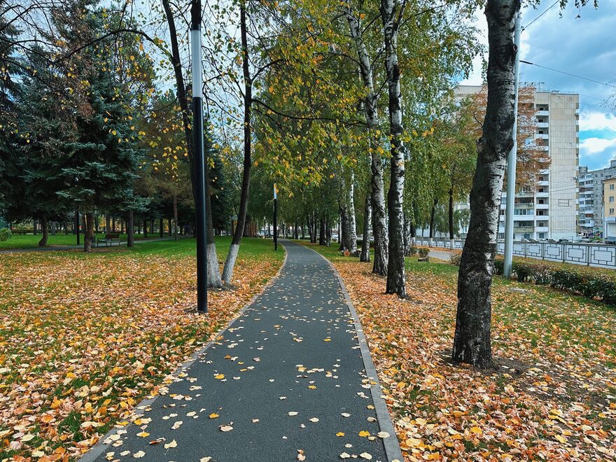 Международный творческий конкурс «Золотая осень»  - детский рисунок, поделка, творческая работа, категория школьники, 7 класс, дистанционный конкурс, школьный конкурс