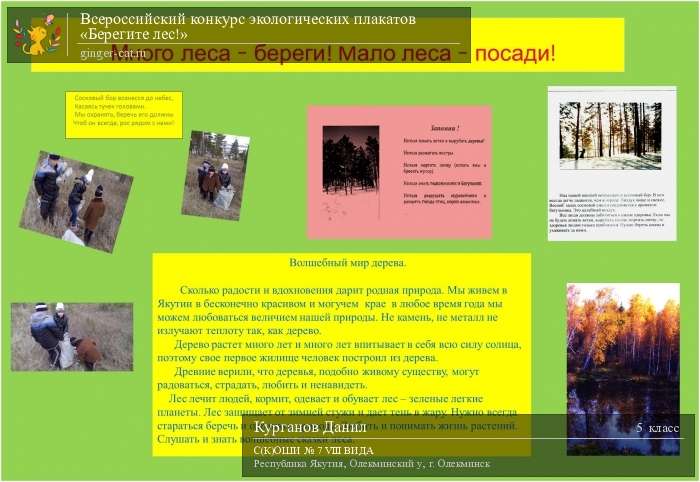 Всероссийский конкурс экологических плакатов «Берегите лес!»  - детский рисунок, поделка, творческая работа, категория школьники, 5 класс, дистанционный конкурс, школьный конкурс