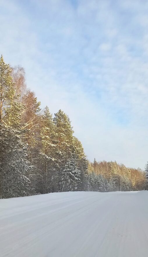 Международный творческий конкурс «Мороз и солнце - день чудесный!»  - детский рисунок, поделка, творческая работа, категория школьники, 8 класс, дистанционный конкурс, школьный конкурс