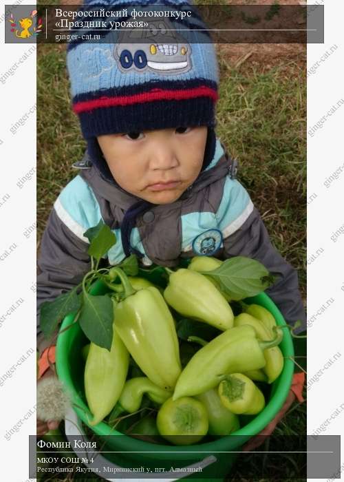 Всероссийский фотоконкурс «Праздник урожая»  - детский рисунок, поделка, творческая работа, категория дошкольники, детский сад, дистанционный конкурс, школьный конкурс