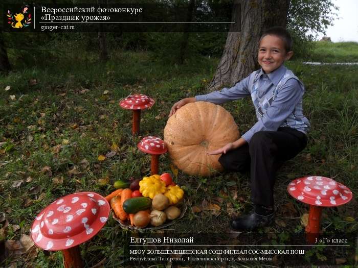 Всероссийский фотоконкурс «Праздник урожая»  - детский рисунок, поделка, творческая работа, категория школьники, 3 класс, дистанционный конкурс, школьный конкурс