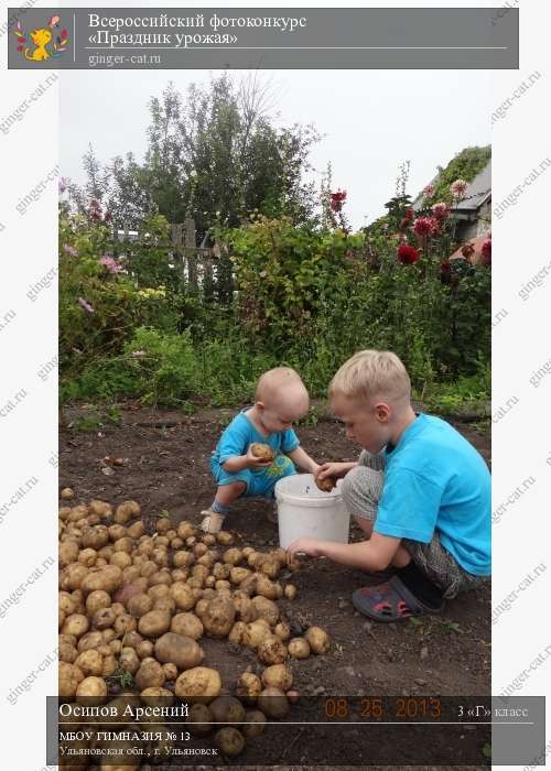 Всероссийский фотоконкурс «Праздник урожая»  - детский рисунок, поделка, творческая работа, категория школьники, 3 класс, дистанционный конкурс, школьный конкурс