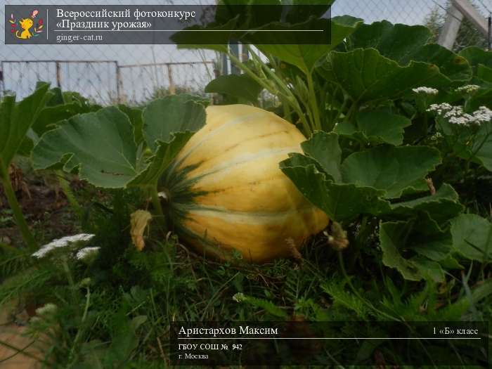 Всероссийский фотоконкурс «Праздник урожая»  - детский рисунок, поделка, творческая работа, категория школьники, 2 класс, дистанционный конкурс, школьный конкурс