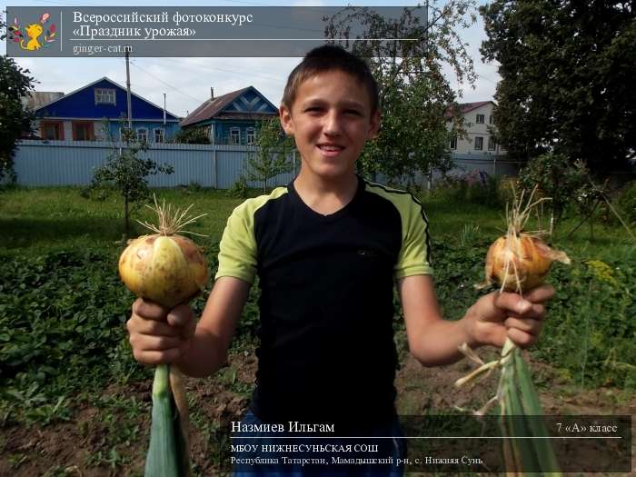 Всероссийский фотоконкурс «Праздник урожая»  - детский рисунок, поделка, творческая работа, категория школьники, 7 класс, дистанционный конкурс, школьный конкурс