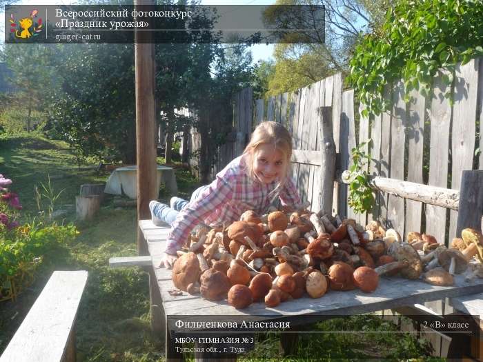 Всероссийский фотоконкурс «Праздник урожая»  - детский рисунок, поделка, творческая работа, категория школьники, 2 класс, дистанционный конкурс, школьный конкурс