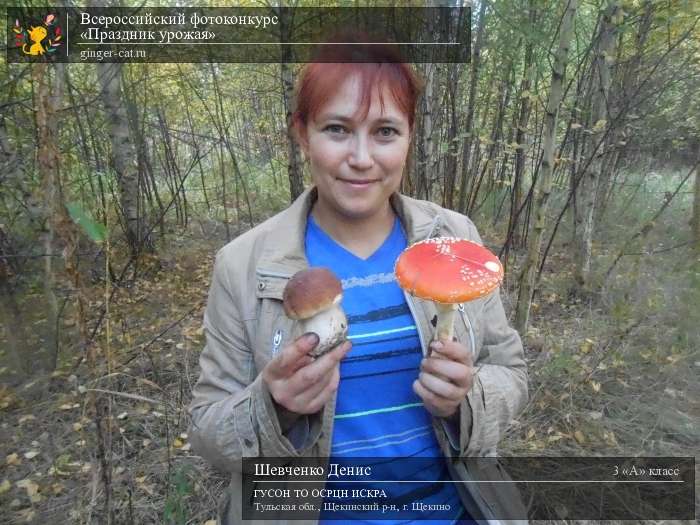 Всероссийский фотоконкурс «Праздник урожая»  - детский рисунок, поделка, творческая работа, категория школьники, 3 класс, дистанционный конкурс, школьный конкурс