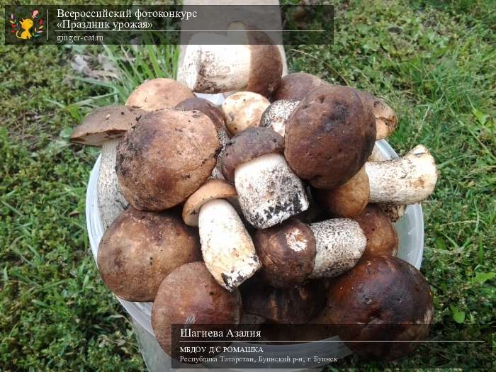 Всероссийский фотоконкурс «Праздник урожая»  - детский рисунок, поделка, творческая работа, категория дошкольники, детский сад, дистанционный конкурс, школьный конкурс