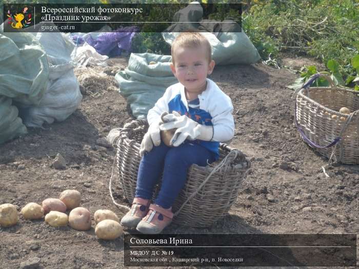 Всероссийский фотоконкурс «Праздник урожая»  - детский рисунок, поделка, творческая работа, категория дошкольники, детский сад, дистанционный конкурс, школьный конкурс