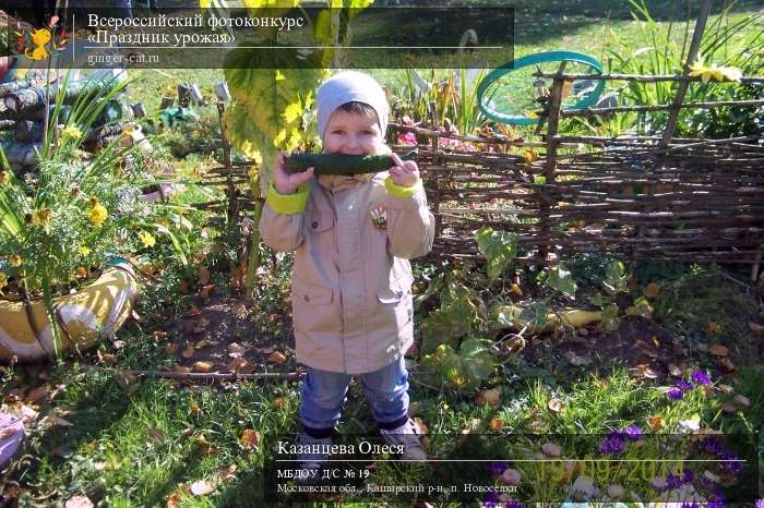 Всероссийский фотоконкурс «Праздник урожая»  - детский рисунок, поделка, творческая работа, категория дошкольники, детский сад, дистанционный конкурс, школьный конкурс