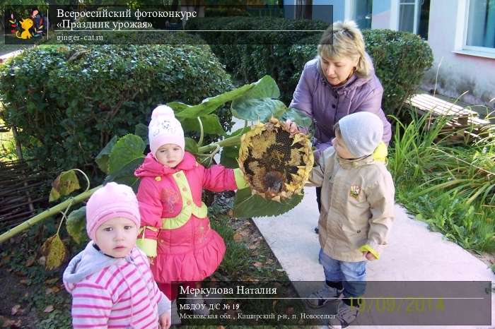 Всероссийский фотоконкурс «Праздник урожая»  - детский рисунок, поделка, творческая работа, категория дошкольники, детский сад, дистанционный конкурс, школьный конкурс