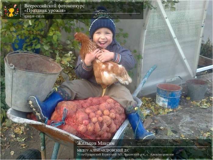 Всероссийский фотоконкурс «Праздник урожая»  - детский рисунок, поделка, творческая работа, категория дошкольники, детский сад, дистанционный конкурс, школьный конкурс