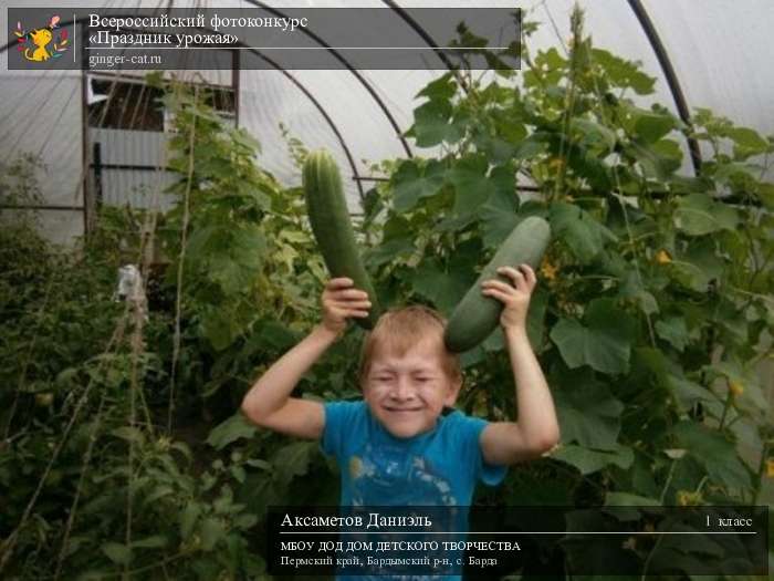 Всероссийский фотоконкурс «Праздник урожая»  - детский рисунок, поделка, творческая работа, категория школьники, 1 класс, дистанционный конкурс, школьный конкурс