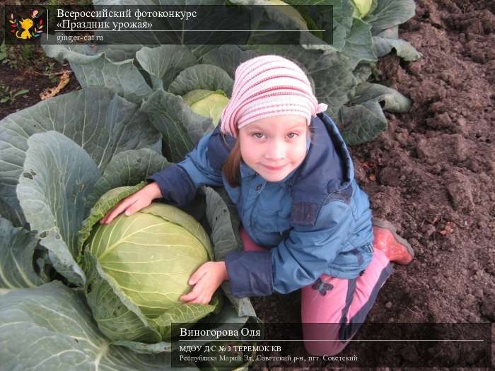 Всероссийский фотоконкурс «Праздник урожая»  - детский рисунок, поделка, творческая работа, категория дошкольники, детский сад, дистанционный конкурс, школьный конкурс