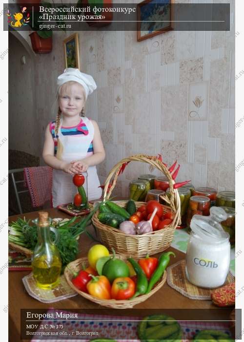 Всероссийский фотоконкурс «Праздник урожая»  - детский рисунок, поделка, творческая работа, категория дошкольники, детский сад, дистанционный конкурс, школьный конкурс