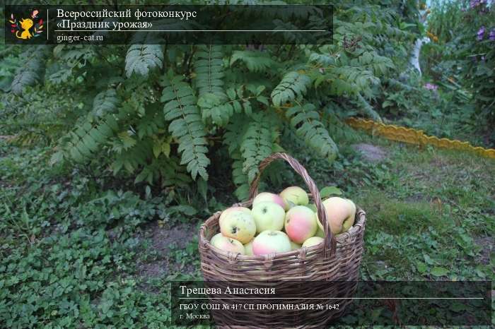 Всероссийский фотоконкурс «Праздник урожая»  - детский рисунок, поделка, творческая работа, категория дошкольники, детский сад, дистанционный конкурс, школьный конкурс