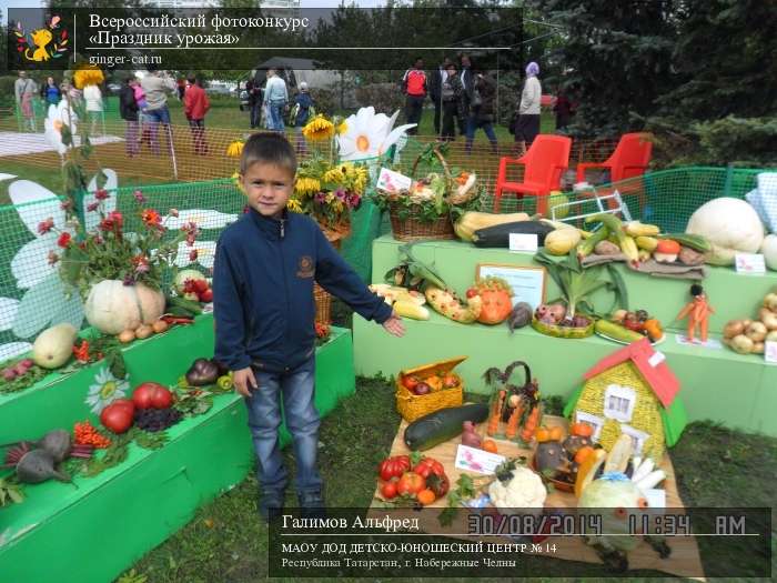 Всероссийский фотоконкурс «Праздник урожая»  - детский рисунок, поделка, творческая работа, категория дошкольники, детский сад, дистанционный конкурс, школьный конкурс