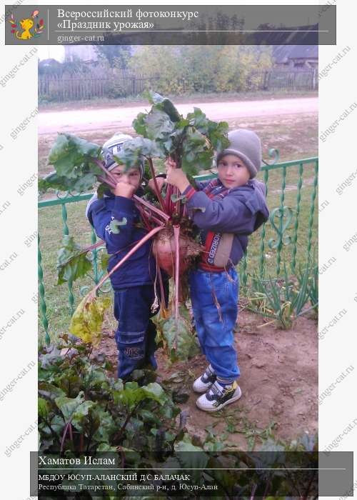 Всероссийский фотоконкурс «Праздник урожая»  - детский рисунок, поделка, творческая работа, категория дошкольники, детский сад, дистанционный конкурс, школьный конкурс