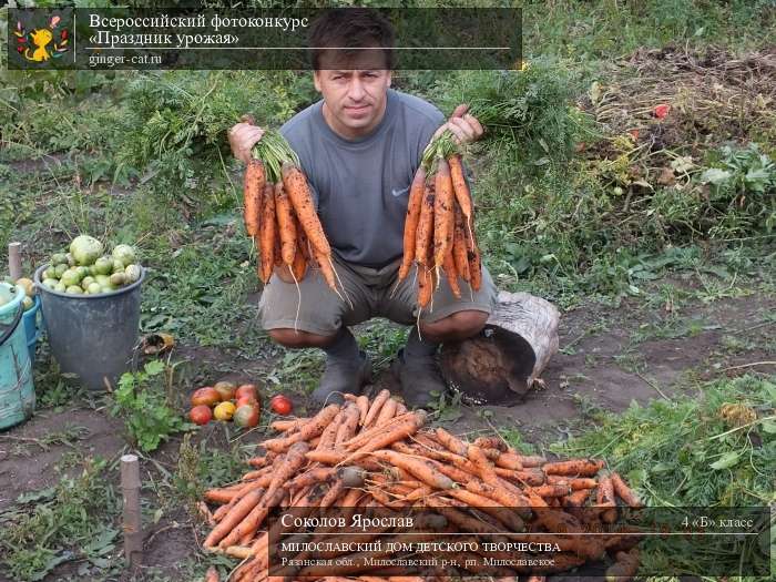 Всероссийский фотоконкурс «Праздник урожая»  - детский рисунок, поделка, творческая работа, категория школьники, 4 класс, дистанционный конкурс, школьный конкурс