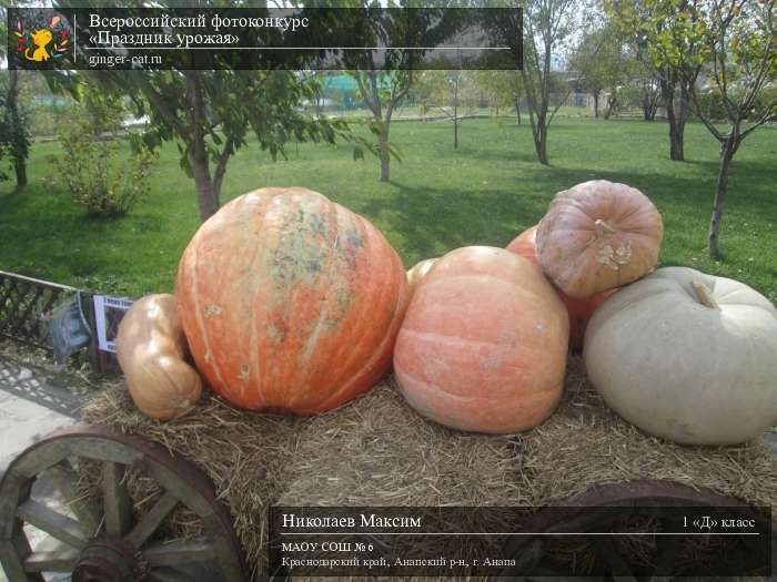 Всероссийский фотоконкурс «Праздник урожая»  - детский рисунок, поделка, творческая работа, категория школьники, 1 класс, дистанционный конкурс, школьный конкурс